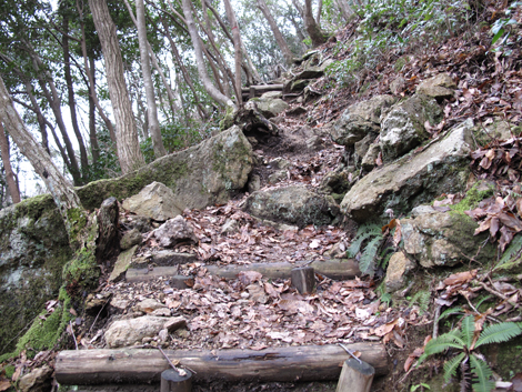 20140102hike (72)